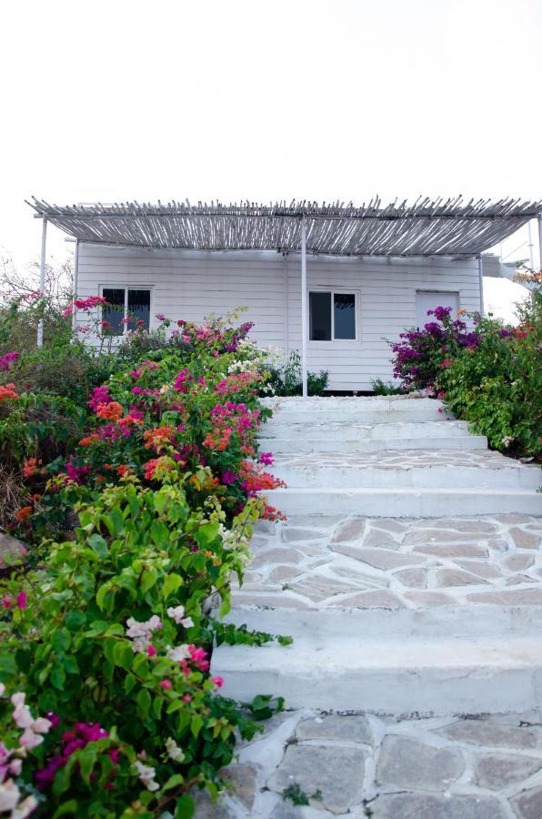 Rustic Vogue Hotel Shamirpet Kültér fotó